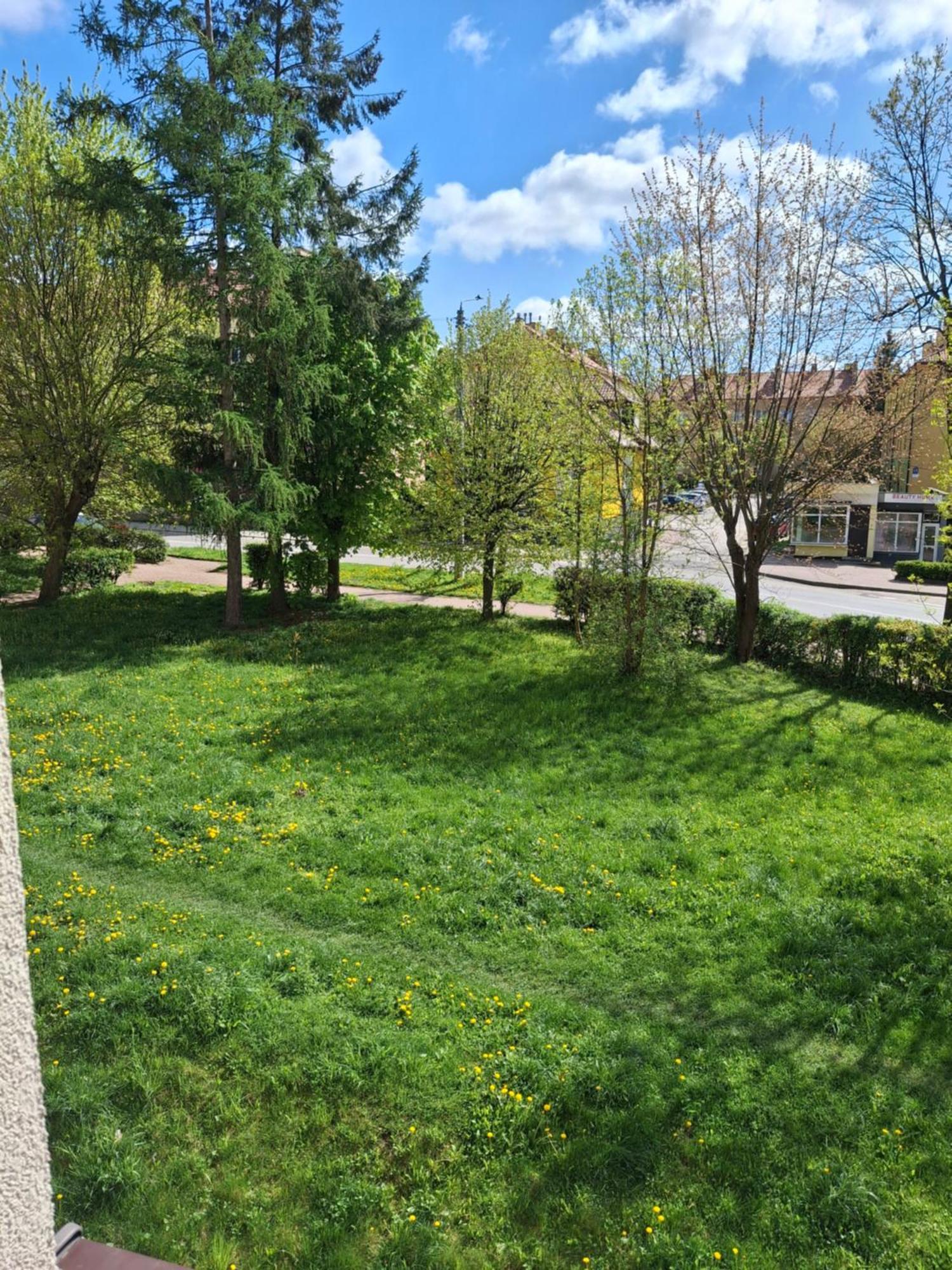 Apartment Norwida Skarżysko-Kamienna